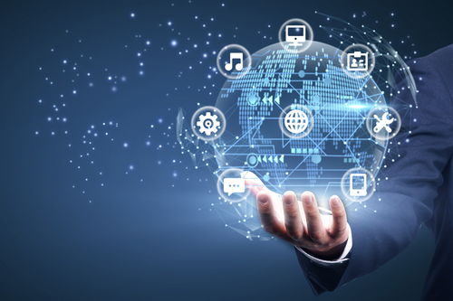 教育部急需的七大领域相关专业 互联网信息服务领衔，待遇与发展潜力双优